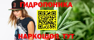сатива Абакан