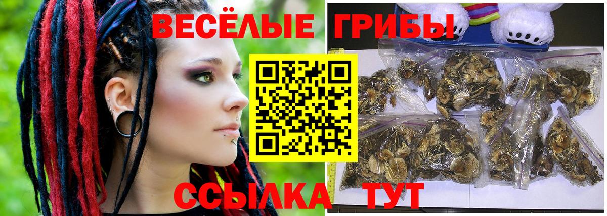 Галлюциногенные грибы GOLDEN TEACHER Алексин