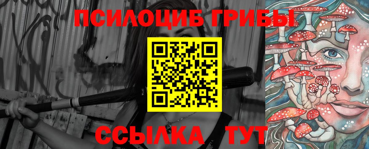 как найти наркотики  Псилоцибиновые грибы мухоморы  Алексин  Вход с VPN  Псилоцибиновые грибы мицелий 